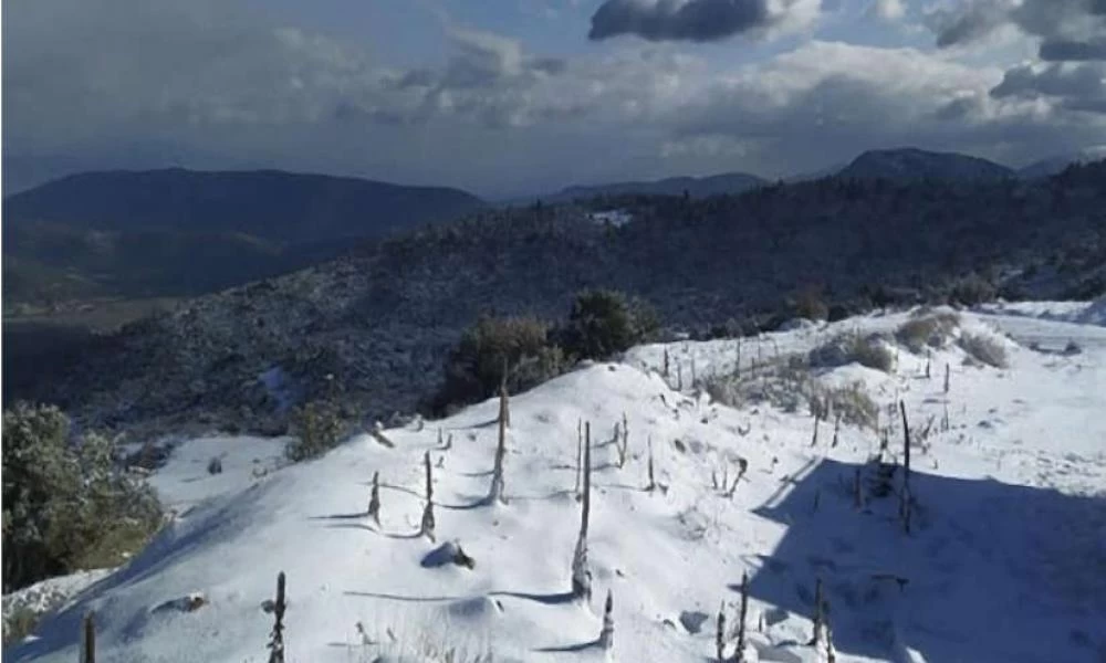Χιονίζει στα ορεινά των Τρικάλων (βίντεο)